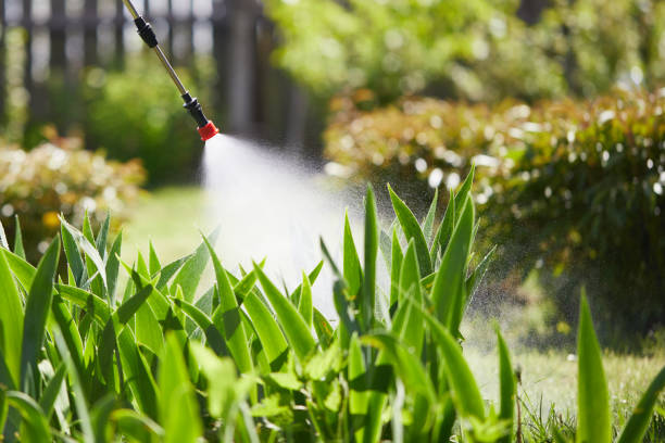 24/7 Emergency Mosquito Control experts in Poway, CA