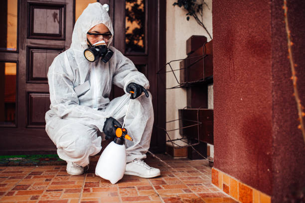 Reliable Mosquito Control contractor in Poway, CA by Nex Pest Control