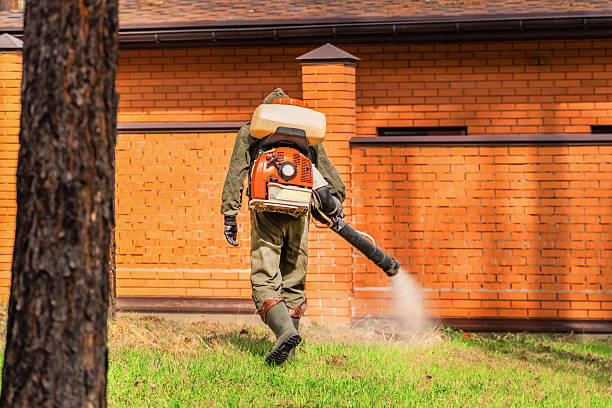 Top rated local Mosquito Control specialists in Poway, CA